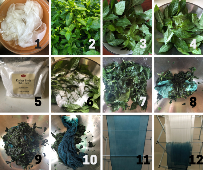 Step by step- Fresh Leaf Indigo The Salt Method