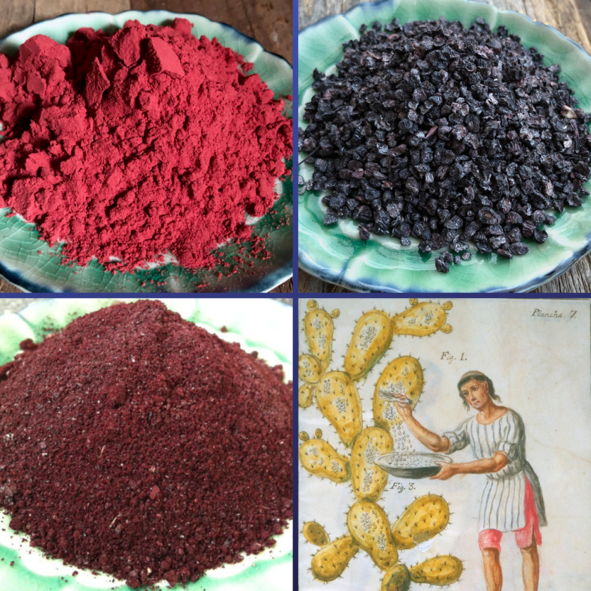 Cochineal Extract and bugs